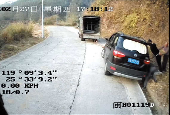 linsh2503042.jpg